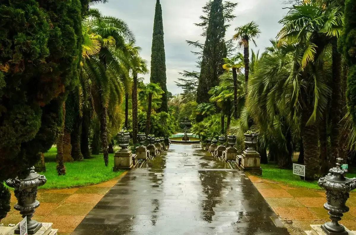 Сочинский Дендрарий