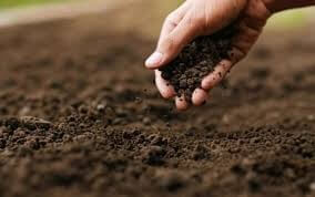 Як підготувати город до нового сезону: практичні поради без зайвих витрат